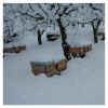 winter01.jpg (648415 Byte)